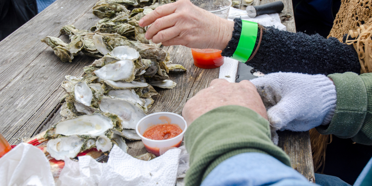 People shucking oysters at an outdoor winter oyster roast, with oyster shells and cocktail sauce on a wooden table.